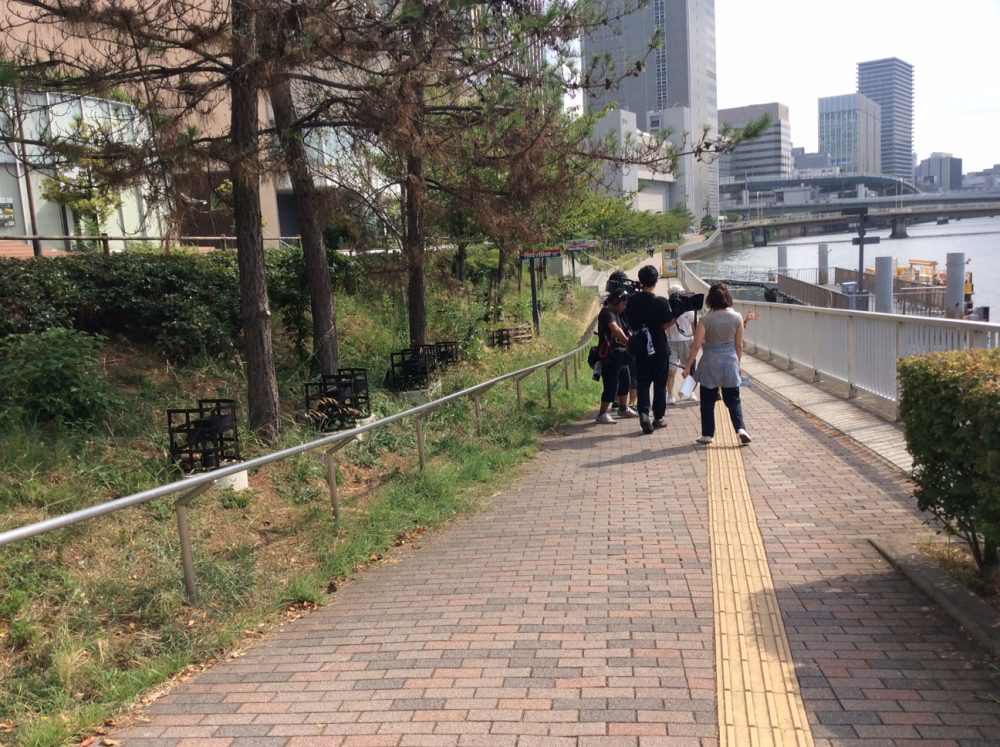 日本放映プロシニアモデル