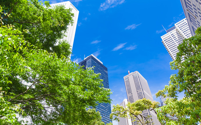 日本放映プロについて メイン画像